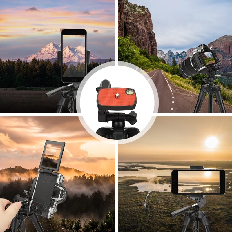 قیمت و خرید سه پایه دوربین و موبایل جی ماری مدل KP-2205